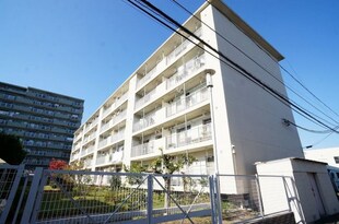 戸田南町住宅(206)の物件外観写真